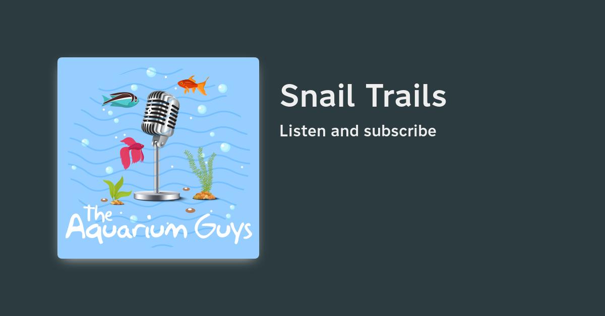 33 Snail Trails
